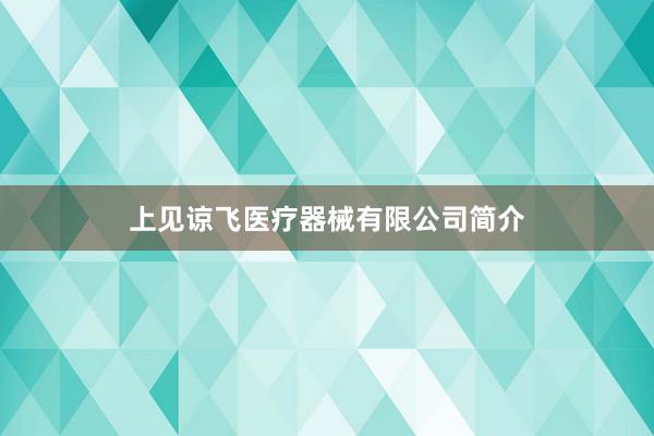 上见谅飞医疗器械有限公司简介