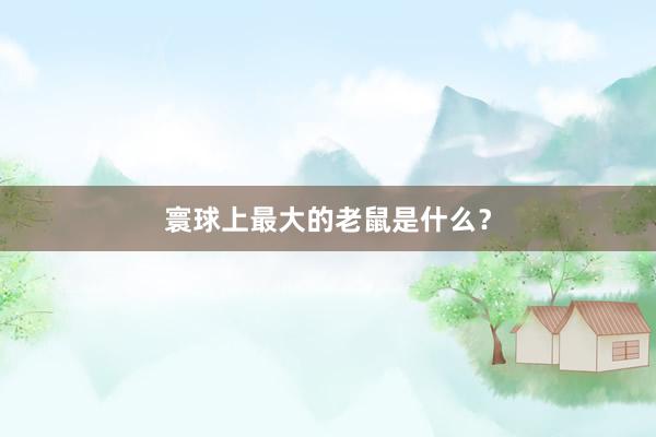 寰球上最大的老鼠是什么？