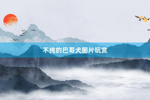 不纯的巴哥犬图片玩赏