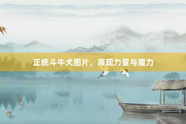 正统斗牛犬图片，展现力量与魔力
